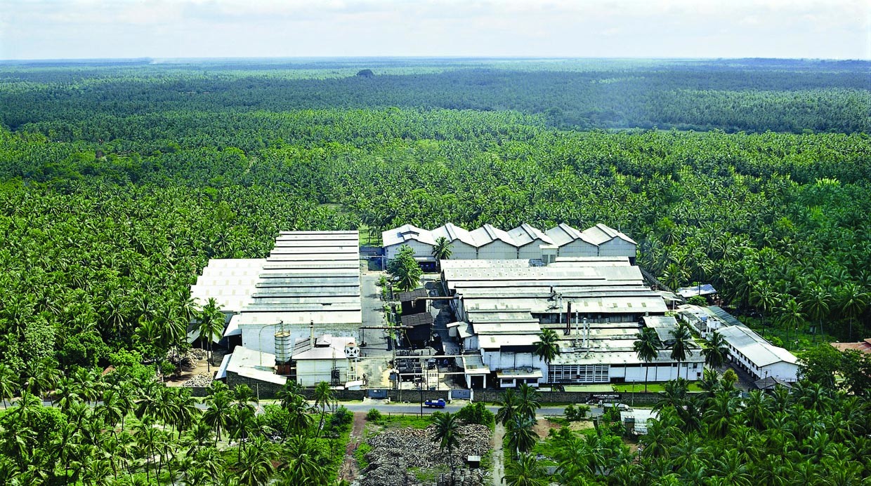 Haycarb plantation in Sri Lanka (Haycarb.com)