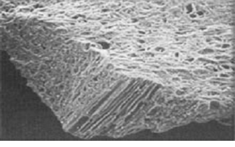 The highly porous structure of the activated carbon